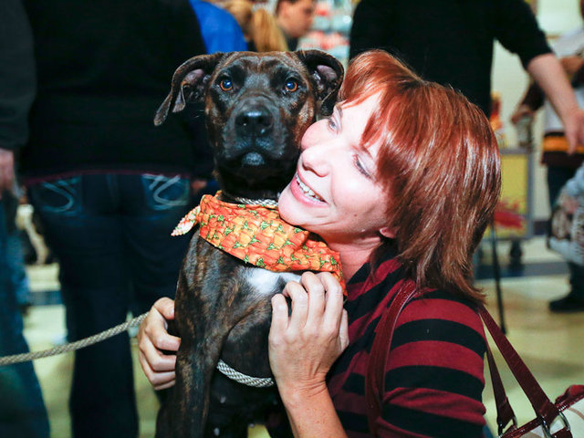 <p>Chicago Wolves fans have adopted more than 1,000 dogs since the team started its Adopt-A-Dog Nights 12 seasons ago.</p>
