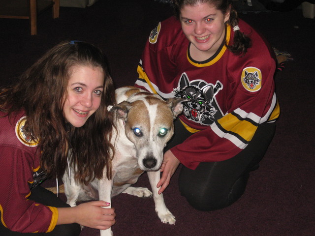 <p>Bailey was one of the dogs adopted as part of the Chicago Wolves' Adopt-A-Dog program.</p>
