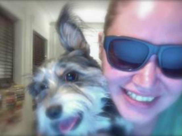 <p>Wolves production manager Sarah Draheim adopted Willy, a female terrier mix, two years ago as part of the team's Adopt-A-Dog program.</p>
