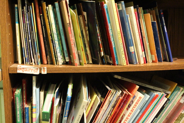 <p>Collection of books at The People&rsquo;s Library. Many of the books belong to Rachel Perveiler, a Little Village teacher who started the library on her back porch.</p>
