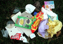 February Humboldt Park Area Neighborhood Litter Clean-Up
