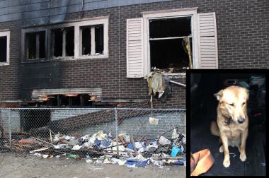 A fire broke out and spread throughout a Rogers Park house.