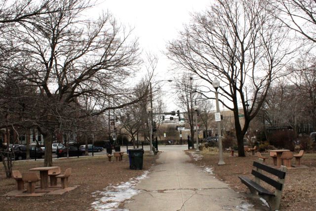 <p>Members of the Wicker Park Advisory Council voted 14-1 in favor of removing four chess tables in the park at 1425 N. Damen Ave.</p>
