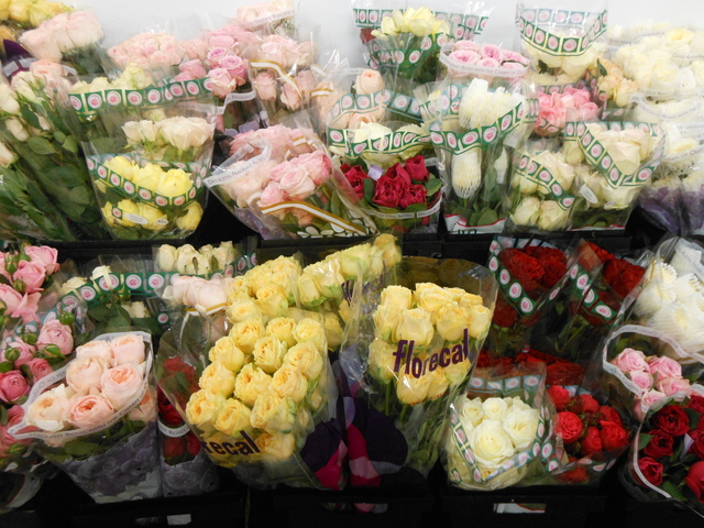 <p>Kennicott Brothers will sell "150,000" roses this week, according to director of operations Dan Andrews.</p>
