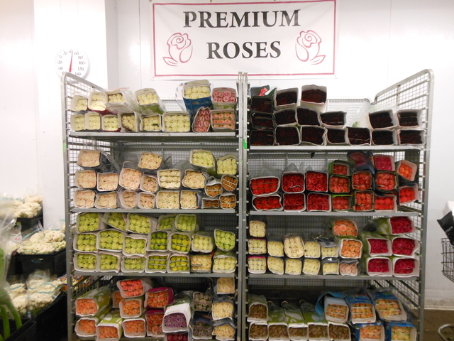 <p>Kennicott Brothers will sell "150,000" roses this week, according to director of operations Dan Andrews.</p>
