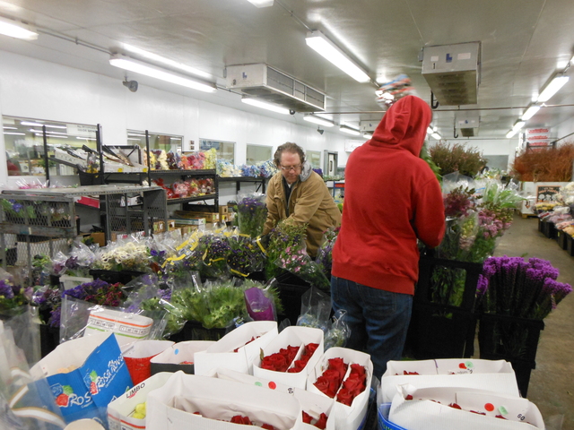 <p>Normally Kennicott Brothers sells about 100,000 roses per month, according to director of operations Dan Andrews. But this week alone, Andrews said the Near West Side store will sell 150,000 roses.</p>
