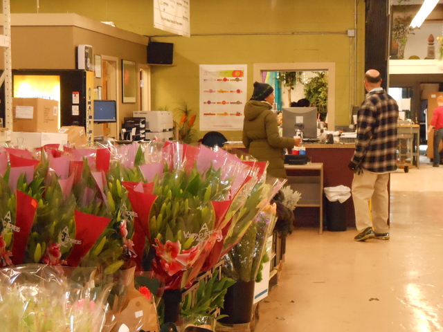 <p>Kennicott Brothers on the Near West Side expects to sell 150,000 roses this week, according to director of operations Dan Andrews.</p>
