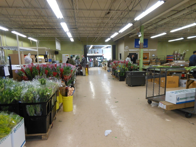 <p>Kennicott Brothers on the Near West Side expects to sell 150,000 roses this week, according to director of operations Dan Andrews.</p>
