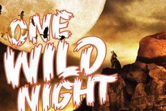 One Wild Night 