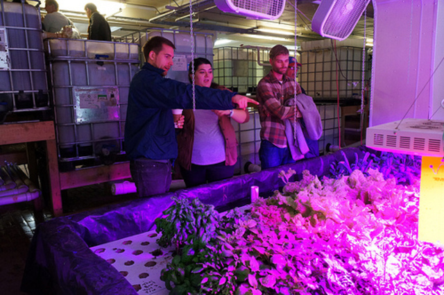 <p>Guests at a recent tour of The Plant look out at a bed of green produce growing under specialty lighting.</p>
