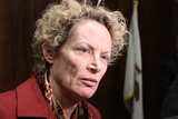 At Chicago Hearing, Gun Lobby Resists Weapons Ban on Trains, Buses 
