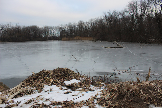 <p>A walking path and lookout points would be installed on the pond in Rosehill Cemetery, which was purchased by the city in 2011.</p>
