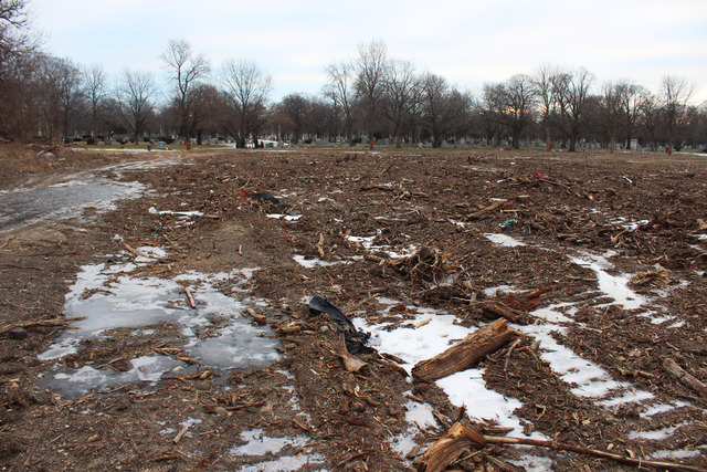 <p>Rosehill Cemetery clear cut several acres of trees on their property to make room for more gravesites.</p>
