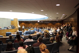 Stray Cats Hearing: Feline Advocates, Bird Watchers Spar