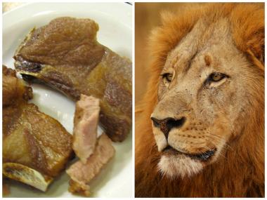 The Lion Meat Act would ban the slaughter for consumption of lions in Illinois.