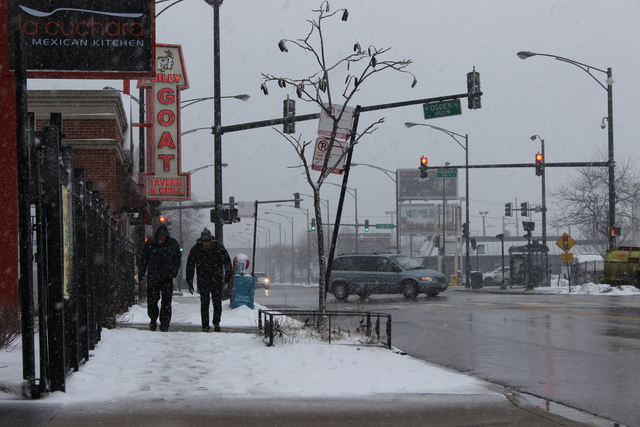 <p>Flights were cancelled and a number of schools were closed in anticipation of the storm.</p>
