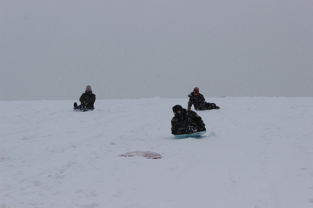 <p>Children go sledding in the snow Tuesday afternoon at Palmisano Park in the city's Bridgeport neighborhood.</p>
