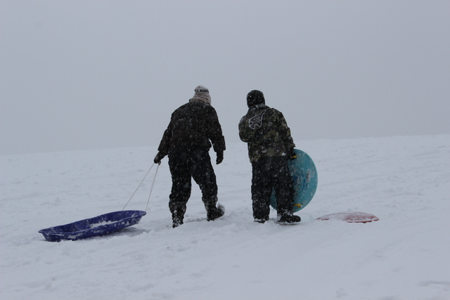 <p>Children go sledding in the snow Tuesday afternoon at&nbsp;Palmisano&nbsp;Park &nbsp;in the city's Bridgeport neighborhood.</p>
