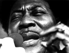 Muddy Waters' Home 'Endangered' 