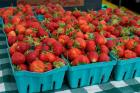 Jefferson Park Sunday Market