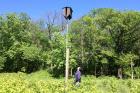 Bat boxes
