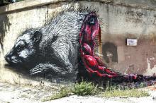 Pilsen Possum Mural Still Raising a Stink