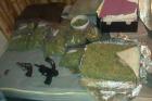 $200,000 in Pot, Guns Found in Gage Park Home, Sheriff Says