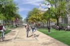 University of Chicago Quad Expansion Next Week Shuts City Street, For Good