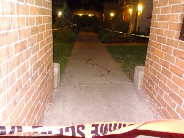  A man and a woman were shot in a possible gang-related incident about 11 p.m. Thursday in South Shore, police said. The two were outside in the 6700 block of South Paxton when two males approached and fired shots, said Officer Amina Greer, a Chicago Police Department spokeswoman. 
