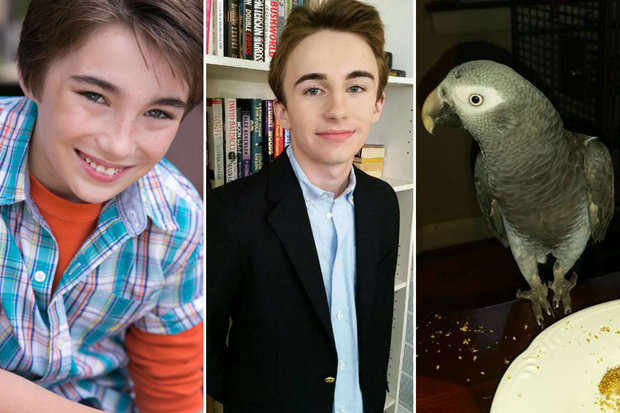 Brothers Weston (l.) and Hudson Ford, both actors, are searching for their lost African grey parrot, Johann.