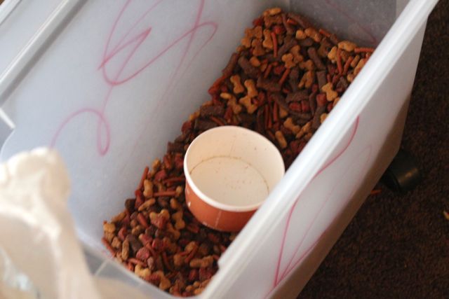 <p>Marcella Juszynski keeps premium dog food by her door and rations out one small scoop daily to a local pigeons like 'Sweetie.'&nbsp;<br />
	<br />
	Marcella and her roommate, Danuta, nursed Sweetie back to health last November and released him on Easter Sunday. Sweetie is always first in line for food and has been known to wait patiently by Juszynski's door.</p>
