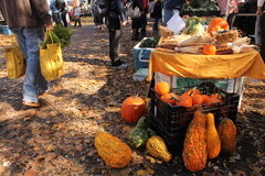 Logan Square Farmers Market Winter Indoor Market