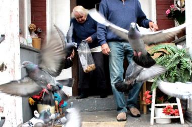 Marcella Juszynski moved to Bucktown on April 4, 1954, raised a family, and hasn't left the neighborhood much since. The 90-year-old WWII survivor has rescued pigeons back to health, cared for sick friends and relatives, took in a widowed neighbor as a roommate, sung soprano in a choir for 40 years, and survived two heart attacks and eight angioplasties. She worked as a housekeeper at a YMCA at the southwest corner of Ashland and Division for 31 years and due to her encylopedic memory was often taxicabbed over to the 'Y' by her employer to help management get into their own safe deposit box.