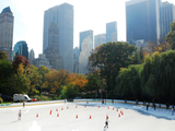 Man Robbed of iPod and Slashed in Central Park