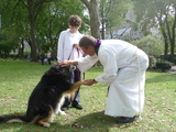 St. John's Cathedral Welcomes Pets, Exotic Animals for Annual Blessing