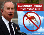 West Nile Virus Found in Some Staten Island Mosquitoes