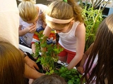 Upper East Side Co-op Builds Rooftop Garden for Children