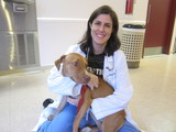 ASPCA's 'Operation Pit' Marks First Year of Pit Bull Program