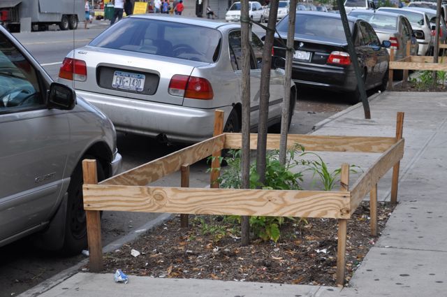 Approximately ten tree pits have been converted into small farms in Inwood.