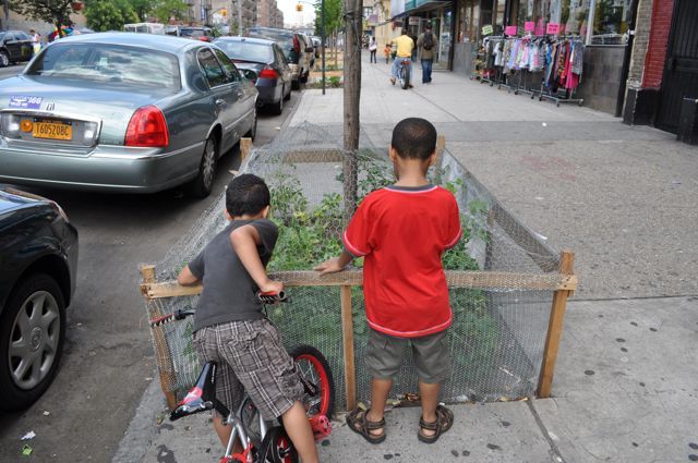 Maria Rosa, who is originally from the Dominican Republic, said “It means a lot to be able to come here and see the plants growing and teach our kids what it’s like to be in nature, not just the concrete jungle.” 