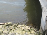 City Makes $3.8 Billion Deal to Limit Sewage Flow Into Waterways