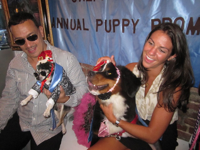 Prom king Bandit and prom queen Holly celebrated with their owners, Anthony Rubio, left, and Kristen Tyburski, right. 