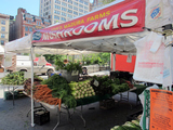 Farmers Look to Salvage Lost Sales at Union Square Greenmarket