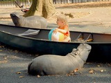 Central Park Conservancy to Revamp Playgrounds