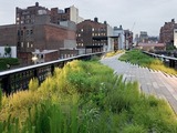 High Line Courting Food Vendors for 2012 Season