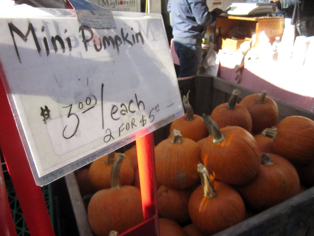 Pumpkins at the Migliorelli Farm stand on West Broadway. 