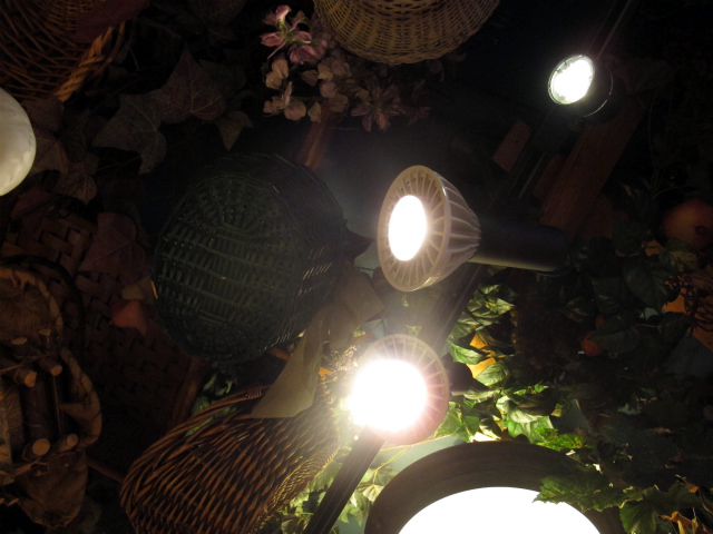 Green Lantern Industries LEDs