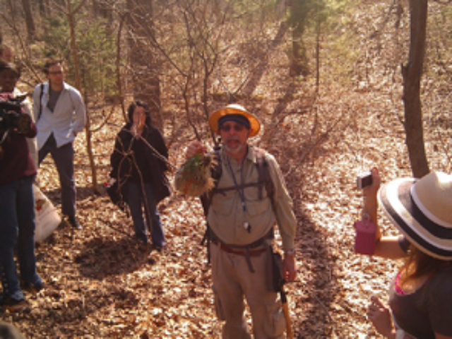 Brill takes groups on tours of city parks in hunt of delicious natural food.