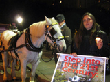 Carriage Horse Had Ulcer and Cracked Tooth Before Death, Necropsy Found