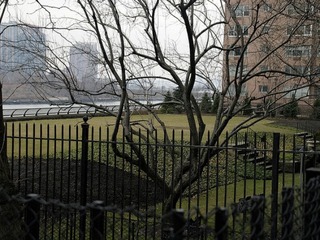 The designer also plans to incorporate a variety of different grasses in the new park at 1 Sutton Place South.